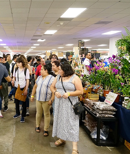Expo Verde y Salvaje: Naturaleza, color y conciencia en la Expo Verde y Salvaje