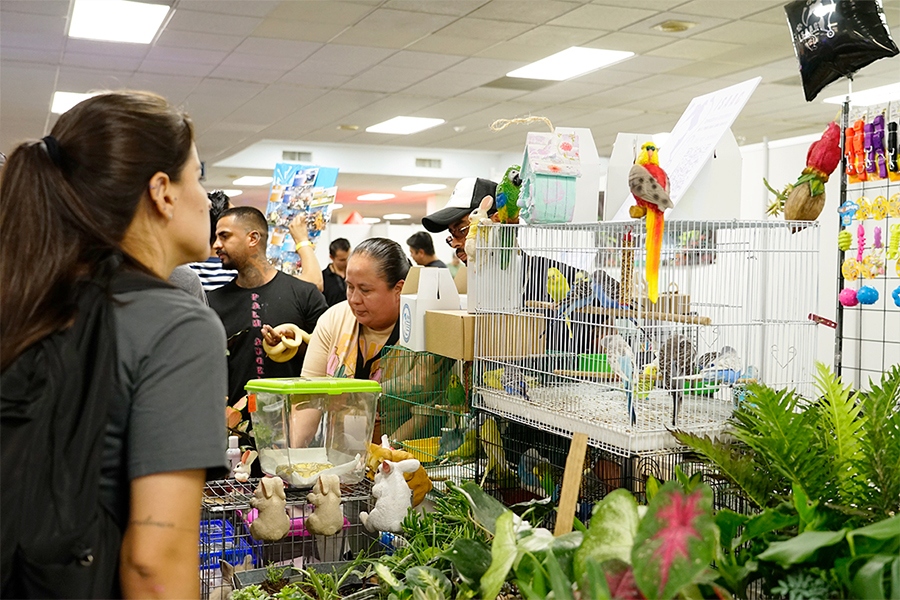 Expo Verde y Salvaje: Naturaleza, color y conciencia en la Expo Verde y Salvaje
