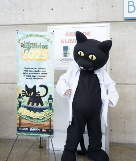 Expo Gatitos 2025 conquistó corazones en León