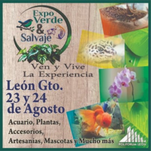 Expo Verde y Salvaje.