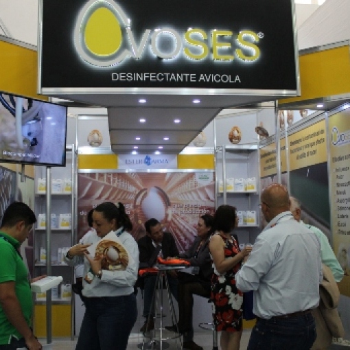 ¡Inicia el Congreso ANECA 2023 en León, el evento más importante de las ciencias avícolas en México!